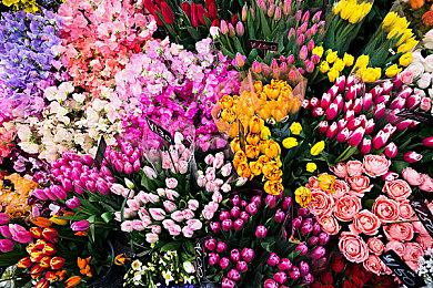 动作射击类游戏《霓虹入侵者》现已登录Steam和NS等平台！