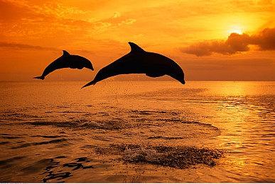 Xbox 20周年：大量X360老游戏迎来更新补丁